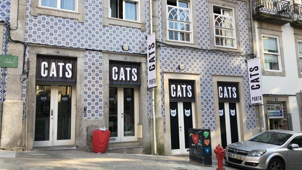 hostel en oporto 8