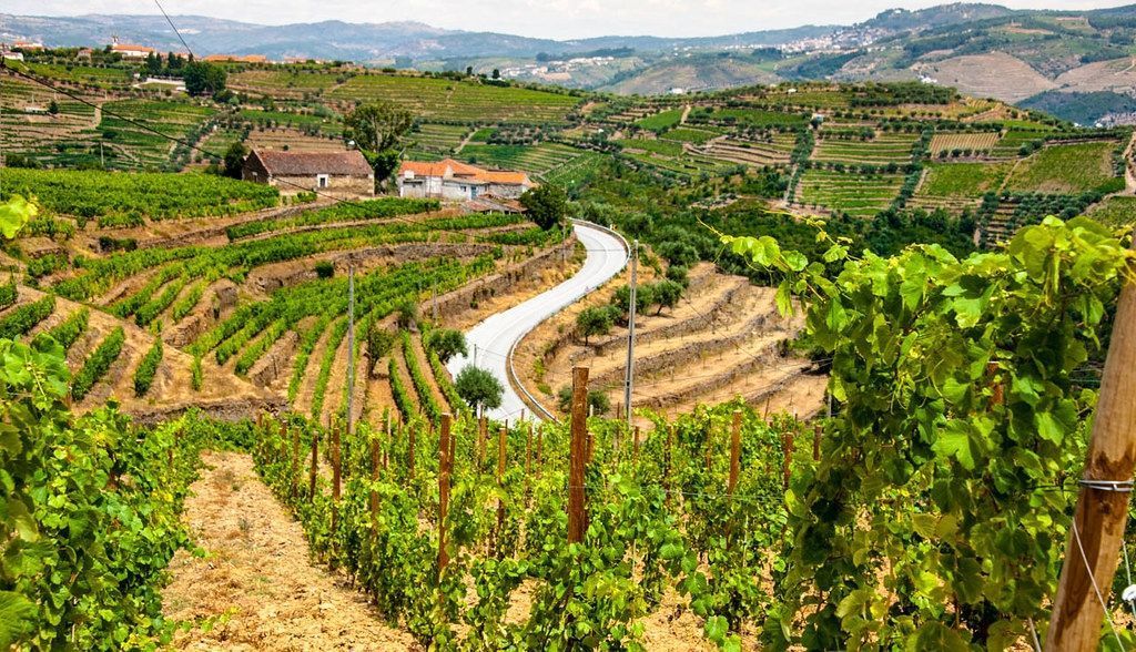 douro valley